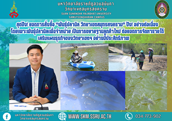 สุดปัง! ยอดการสั่งซื้อ “พันธุ์ปลานิล
วิทยาเขตสมุทรสงคราม” ปัง! อย่างต่อเนื่อง
โดยเพาะพันธุ์ปลานิลเพื่อจำหน่าย
เป็นการขยายฐานลูกค้าใหม่
ต่อยอดการจัดหารายได้
เสริมแผนธุรกิจของวิทยาเขตฯ
อย่างมีประสิทธิภาพ