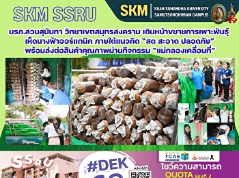 Suan Sunandha Rajabhat University, Samut
Songkhram Campus, is expanding the
cultivation of organic oyster mushrooms
under the concept of 