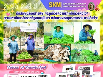 ผักสดๆ ปลอดสารพิษ “ปลูกด้วยความรัก
เก็บด้วยหัวใจ” จาก #วิทยาเขตสมุทรสงคราม
มาแล้วจ้า!