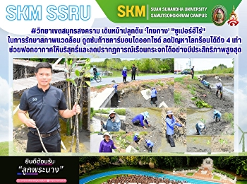 #วิทยาเขตสมุทรสงคราม เดินหน้าปลูกต้น
‘โกงกาง’ 