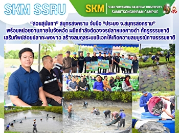 “สวนสุนันทา” สมุทรสงคราม จับมือ “ประมง
จ.สมุทรสงคราม” พร้อมหน่วยงานภายในจังหวัด
ผนึกกำลังตัดวงจรปลาหมอคางดำ
ศัตรูธรรมชาติ
ทำลายระบบนิเวศภายในวิทยาเขต
เสริมทัพปล่อยปลากะพงขาว
สร้างสมดุลระบบนิเวศให้เกิดความสมบูรณ์ทางธรรมชาติ